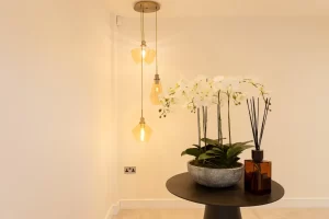 Drop pendant lighting in a Home in Stanmore